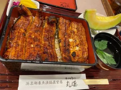 浜名湖うなぎ 丸浜（まるはま）