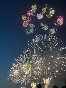 江戸川花火大会会場 2枚目