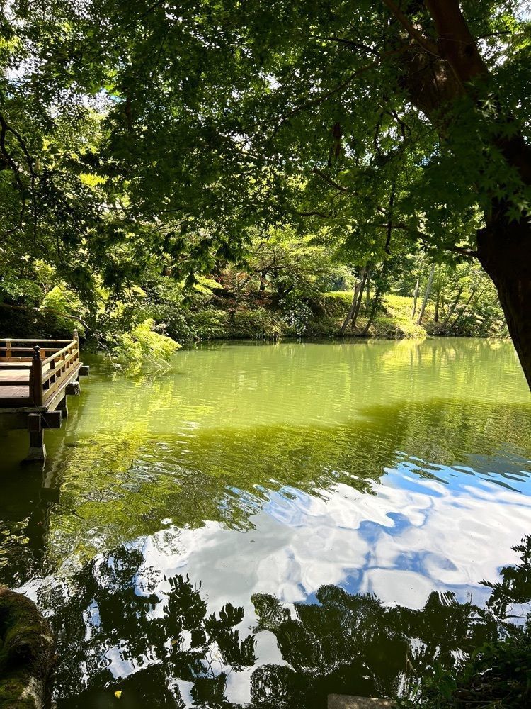 beautiful_garden_e784さんが投稿した高鴨神社に関する口コミの画像