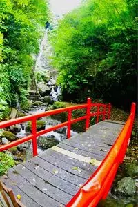 旅館　文覚荘