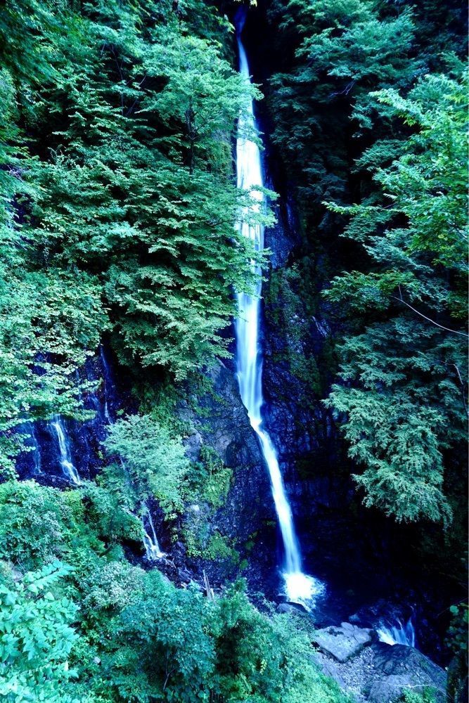ビンカさんが投稿した旅館　文覚荘に関する口コミの画像