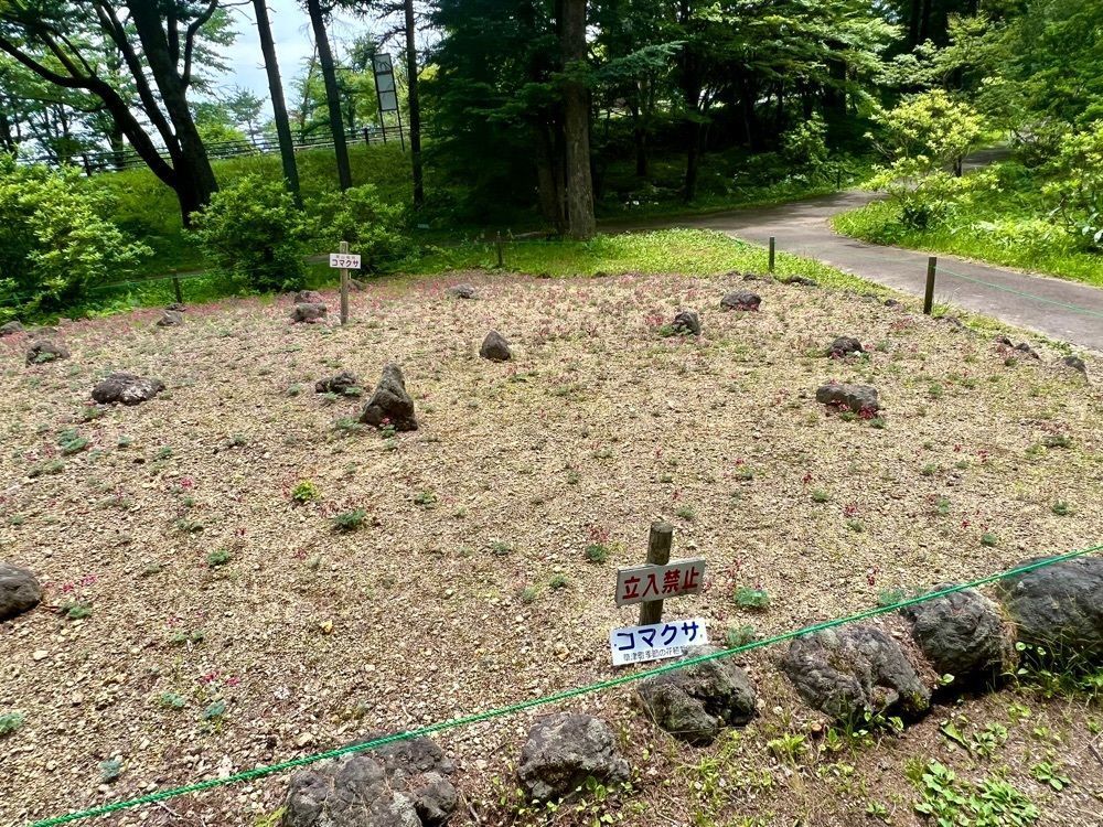 yuyuさんが投稿した道の駅 草津運動茶屋公園に関する口コミの画像
