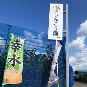 しんこう園（【旧店名】マル忠新興園）