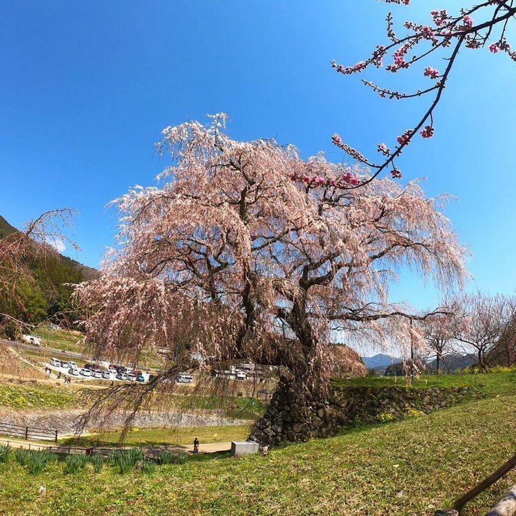 ruujunさんが投稿した画像の画像
