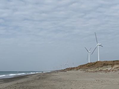 浜岡砂丘 5枚目