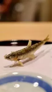 天ぷら 京星（きょうぼし）
