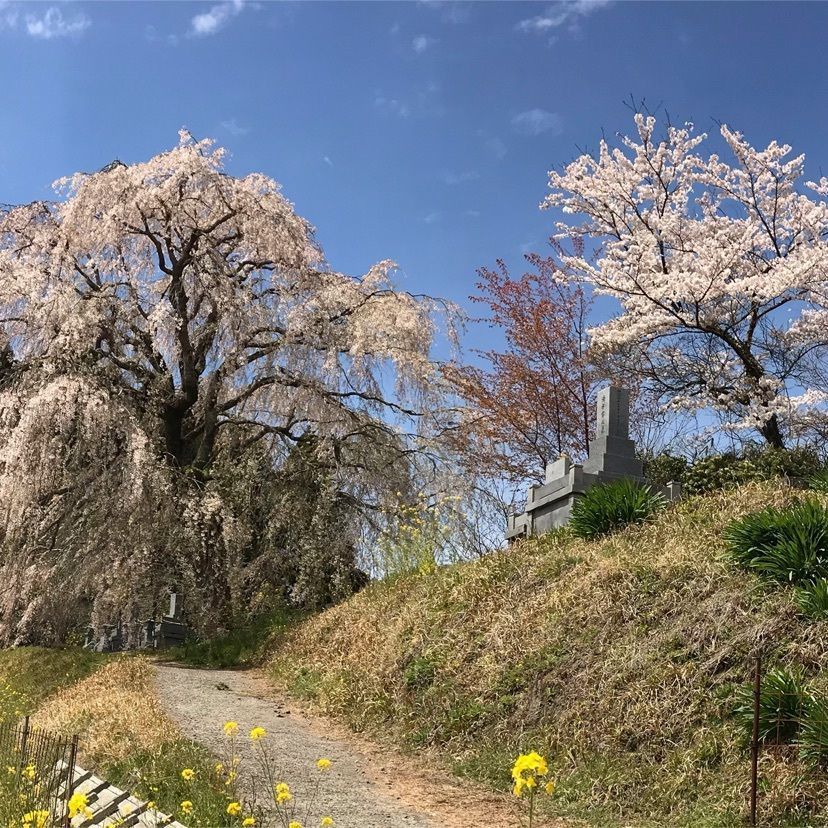 はせどんさんが投稿した宮城温泉出会いの湯に関する口コミの画像