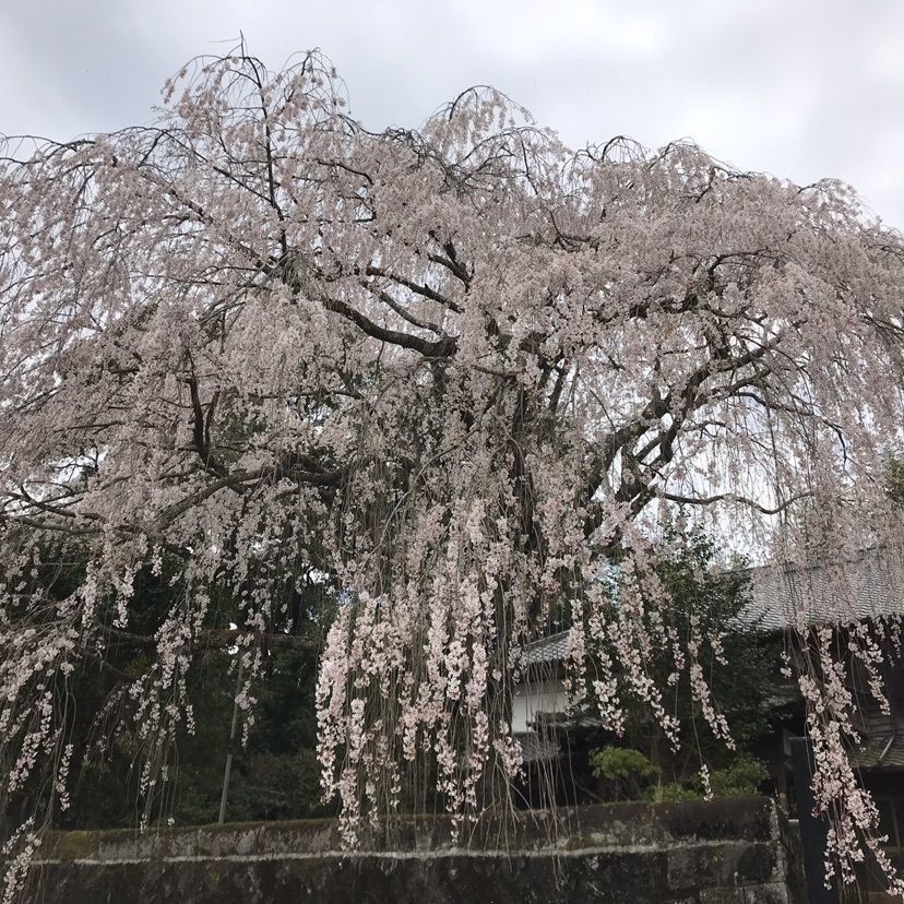 はせどんさんが投稿した宮城温泉出会いの湯に関する口コミの画像