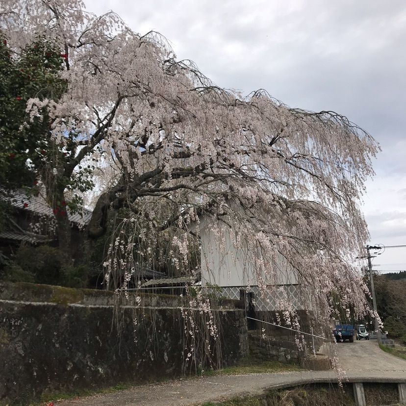はせどんさんが投稿した宮城温泉出会いの湯に関する口コミの画像