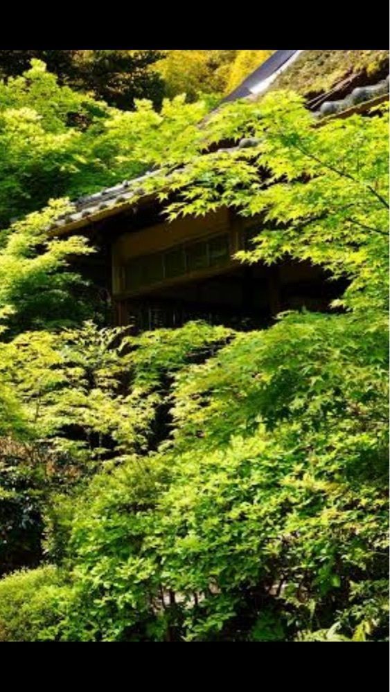 京都を巡る会・「武」さんが投稿した滝口寺に関する口コミの画像
