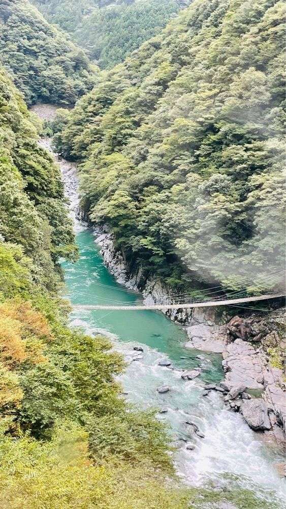 みぃさんが投稿した和の宿 ホテル祖谷温泉に関する口コミの画像