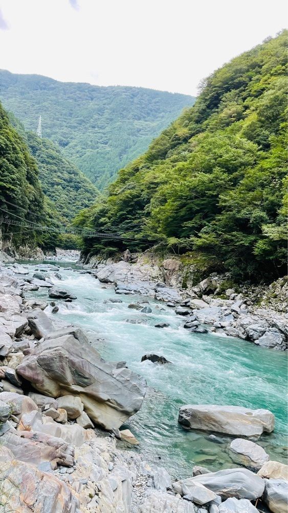 みぃさんが投稿した和の宿 ホテル祖谷温泉に関する口コミの画像
