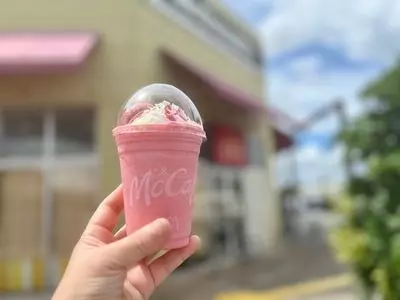 マクドナルド 加須ビバモール店
