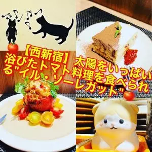 イル・ソーレガット