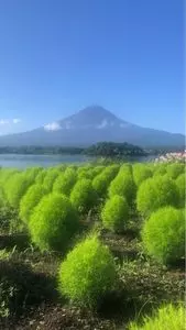 河口湖自然生活館 ブルーベリーの里（KAWAGUCHIKO NATURAL LIVING CENTER）