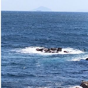 伊豆高原 2枚目