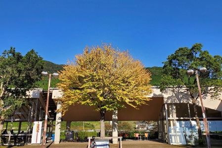 施設画像