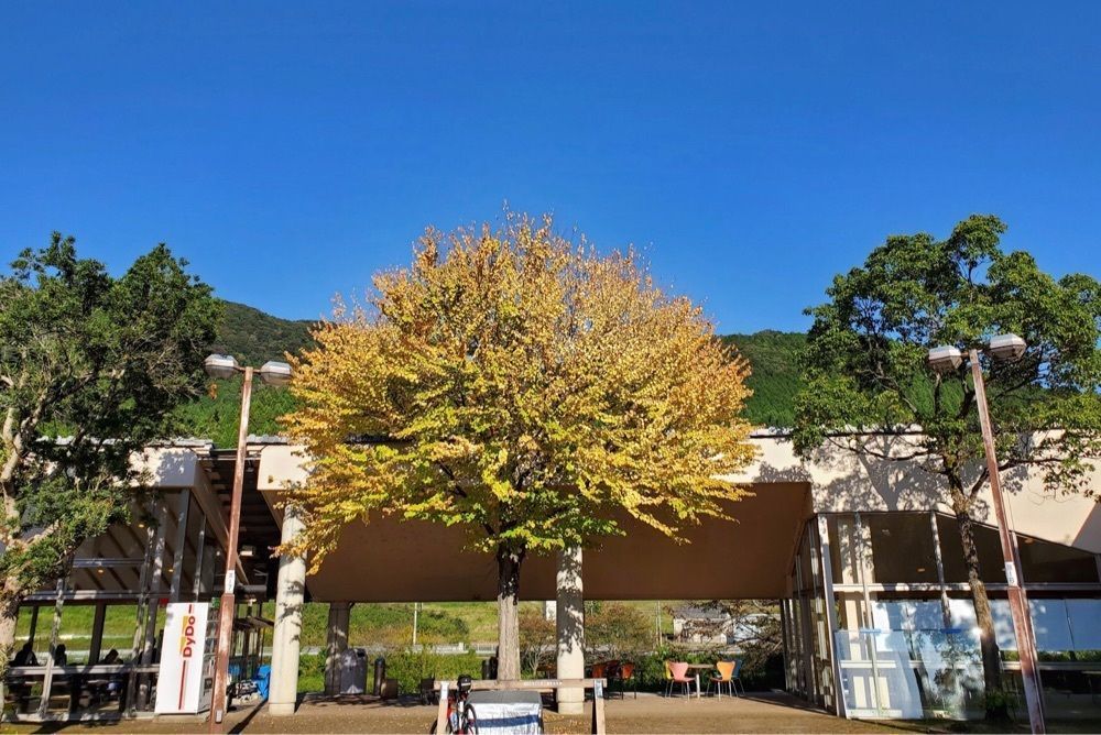 ＤＪゴン太さんが投稿した道の駅和に関する口コミの画像
