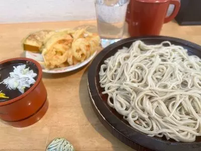 香文木