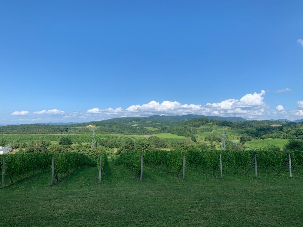 odeka-Kさんが投稿した山崎ワイナリー（YAMAZAKI WINERY）に関する口コミの画像