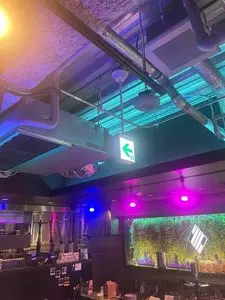 シンギュラリティ トウキョウ(Singularity Tokyo)