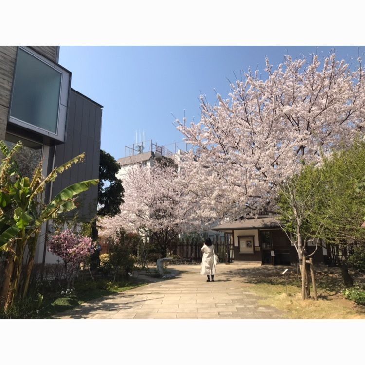 Ayakoさんが投稿した夏目漱石終焉の地（猫塚）に関する口コミの画像