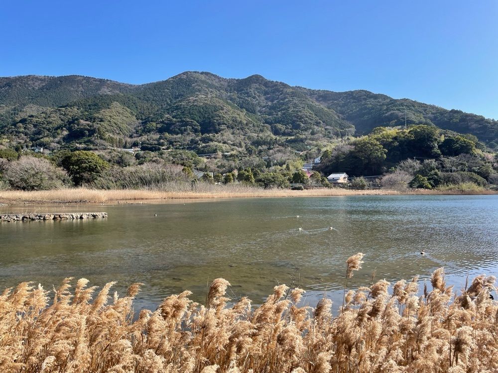 メリーさんが投稿した須ノ川公園に関する口コミの画像