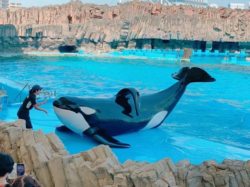 2. 「名古屋港水族館」名古屋の人気スポットで遊ぶ！子ども連れやカップルに人気！ 2枚目