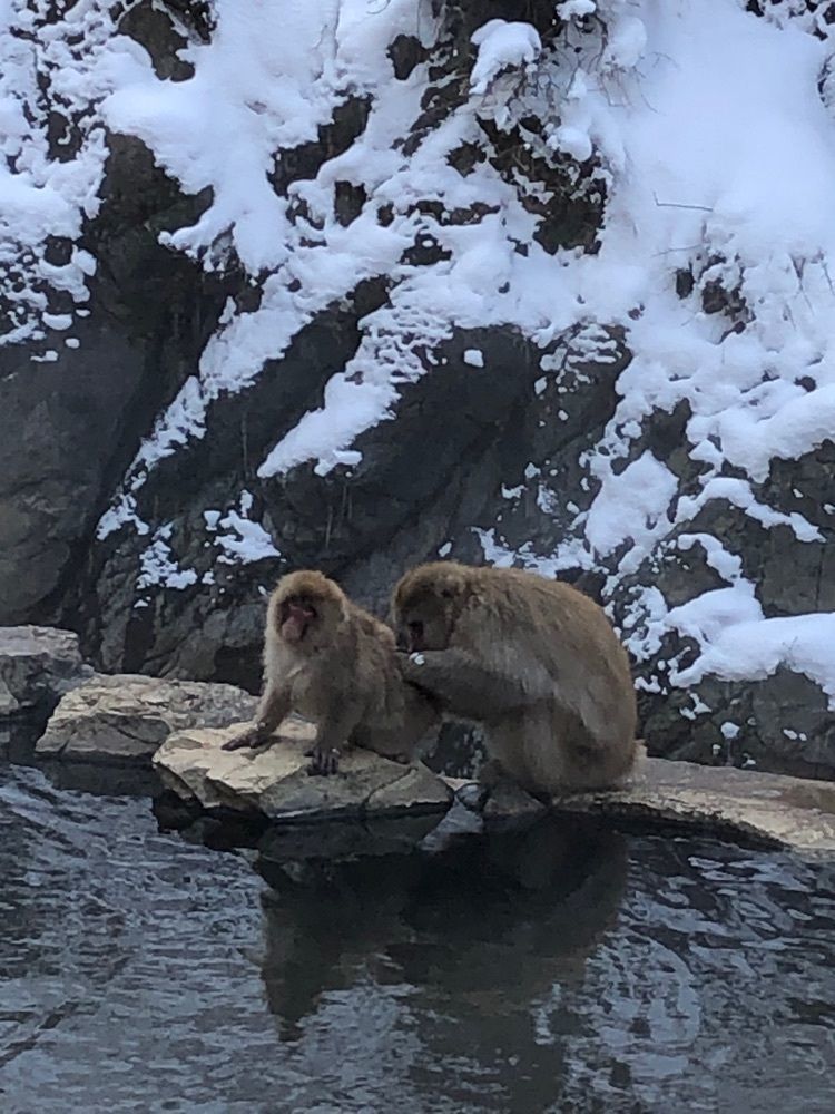 BOM-BA-YEさんが投稿した上林温泉に関する口コミの画像