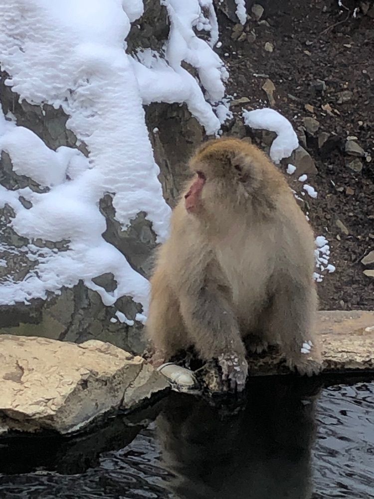 BOM-BA-YEさんが投稿した上林温泉に関する口コミの画像