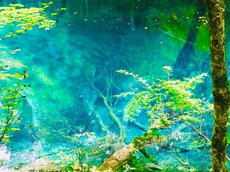 #絶景 #フォトジェニック #青森