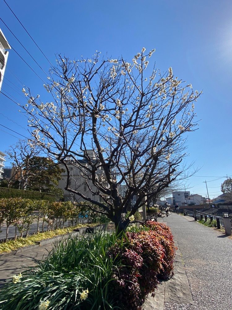 こまささんが投稿したほっともっと 北葛西２丁目店（Hotto Motto）に関する口コミの画像