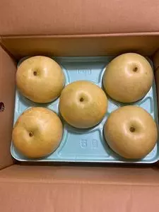 美津木屋