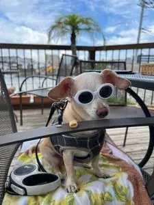 MARINA RESTAURANT TRIM（マリーナレストラン トリム）