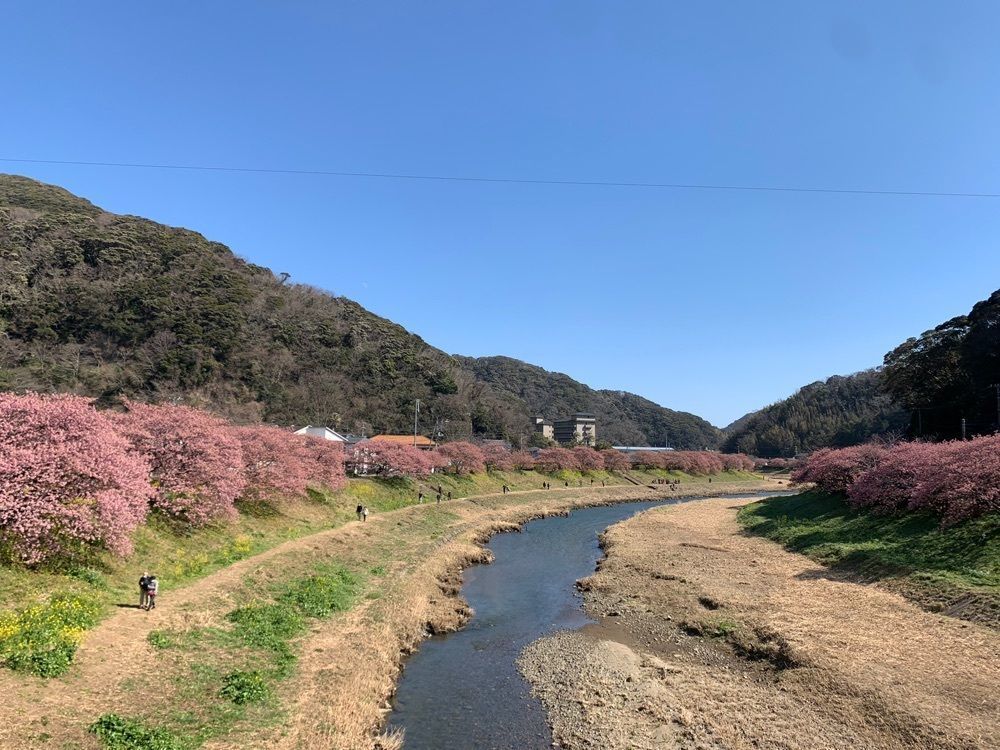 Howl Monさんが投稿した南伊豆町に関する口コミの画像
