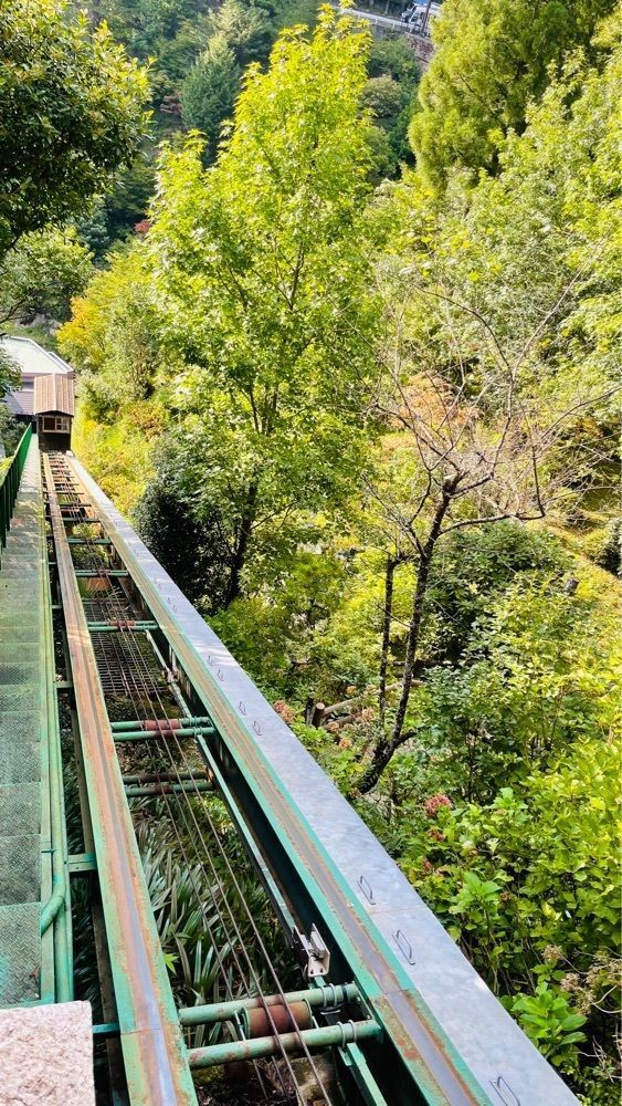 みぃさんが投稿した新祖谷温泉 ホテルかずら橋 （ホテルカズラバシ）に関する口コミの画像