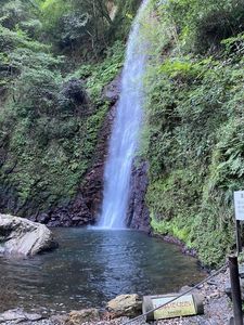養老の滝 6枚目