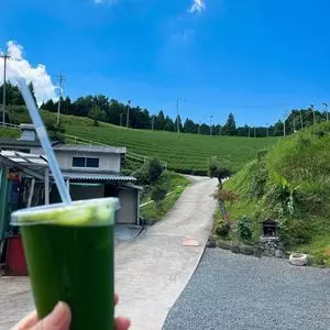 小山園製茶場