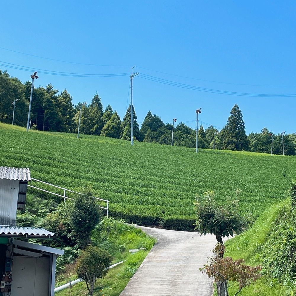 Danjouさんが投稿した小山園製茶場に関する口コミの画像