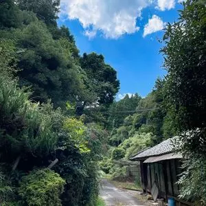 伊賀越
