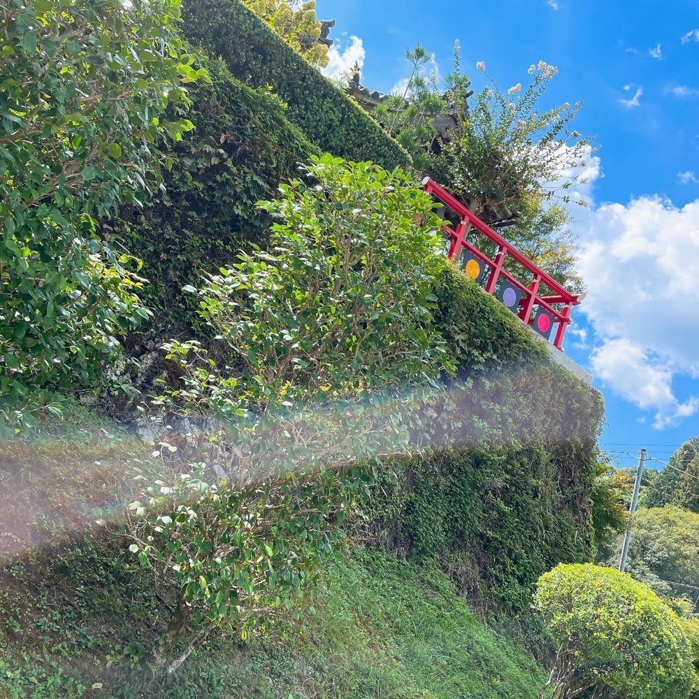 Danjouさんが投稿した遍照院に関する口コミの画像