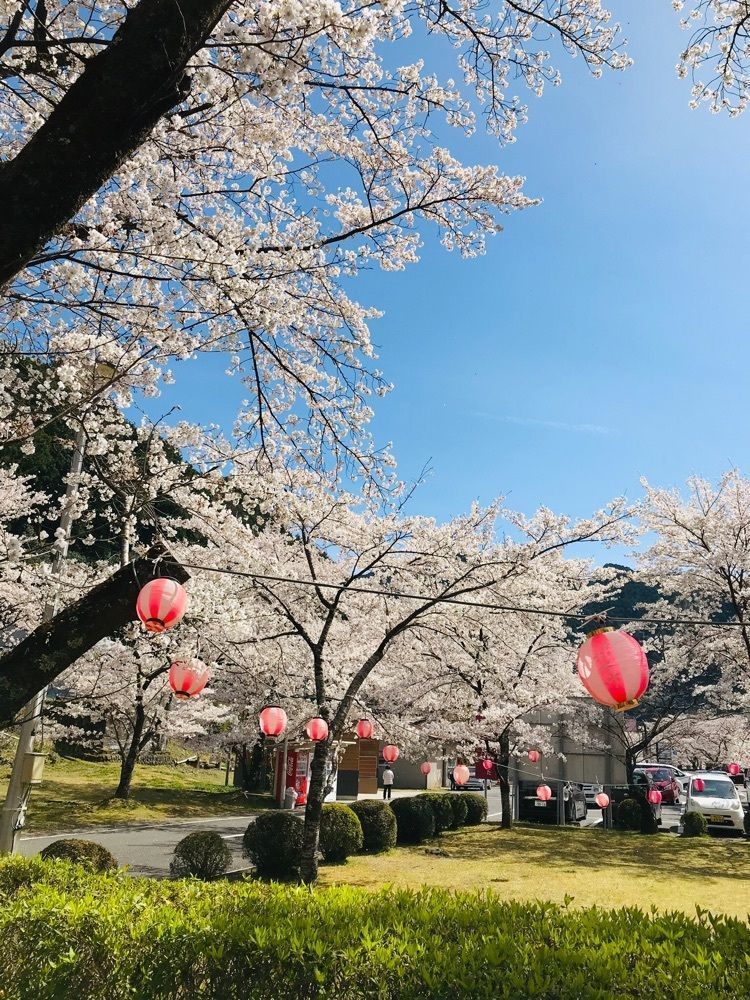 K♡︎ᵎᵎᵎさんが投稿した下北山温泉きなりの湯・きなり館に関する口コミの画像