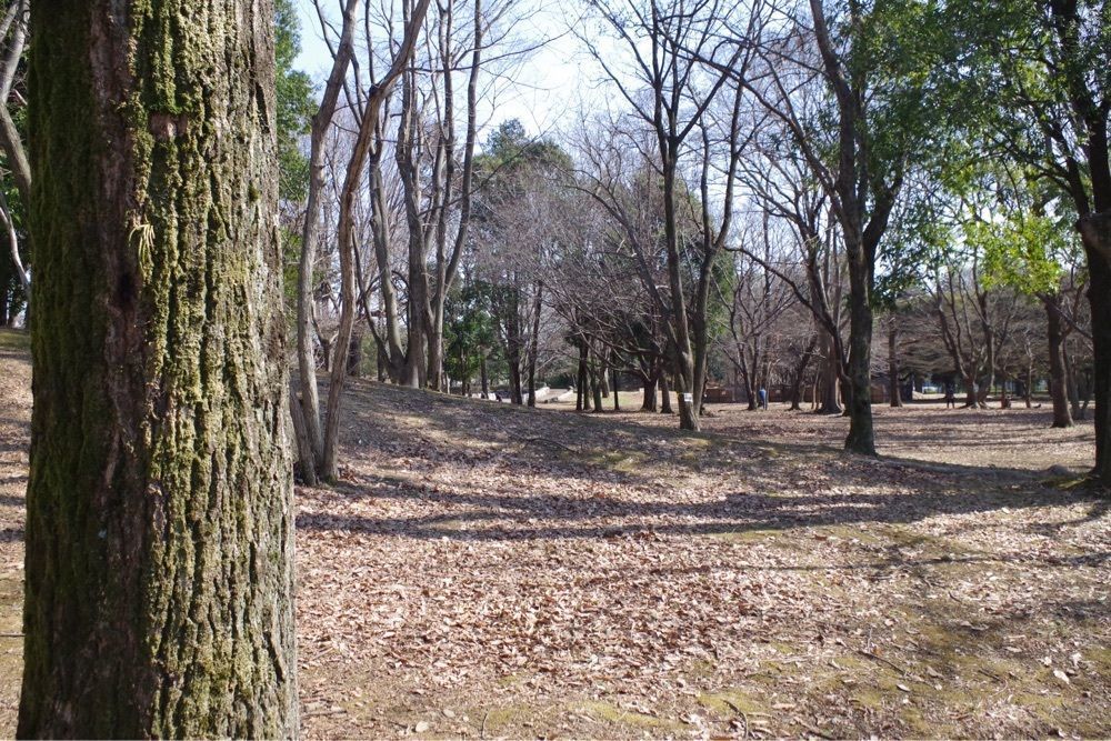 junkunさんが投稿した府中の森公園に関する口コミの画像