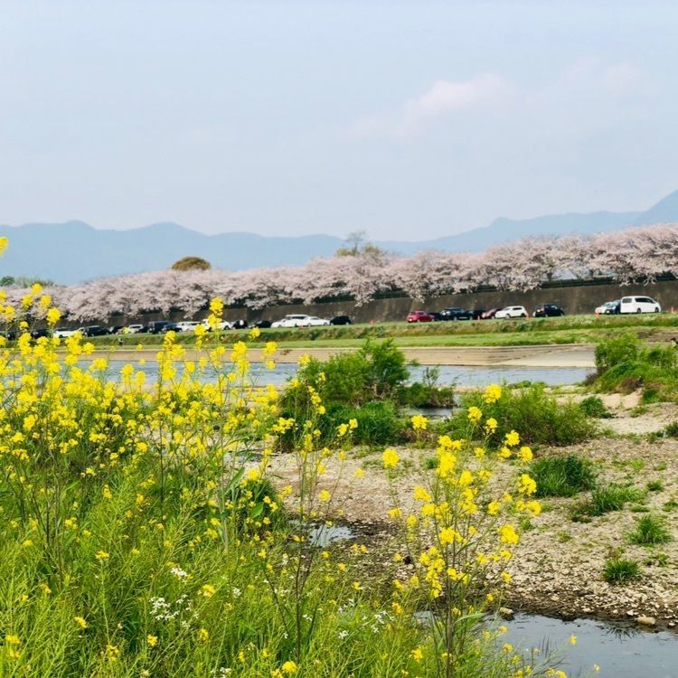 ま̤̮き̤̮さんが投稿した遠賀川に関する口コミの画像