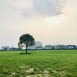 21年 直方市 宮若市 鞍手郡の人気スポットランキングtop30 Aumo アウモ