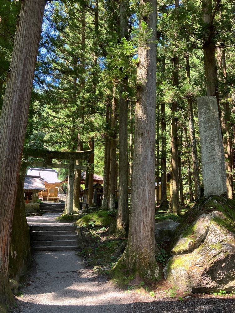 Nさんが投稿した尾白川渓谷に関する口コミの画像