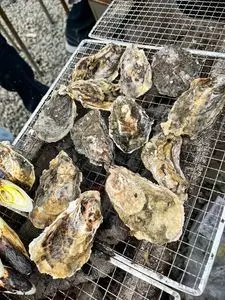 海の駅しおじ