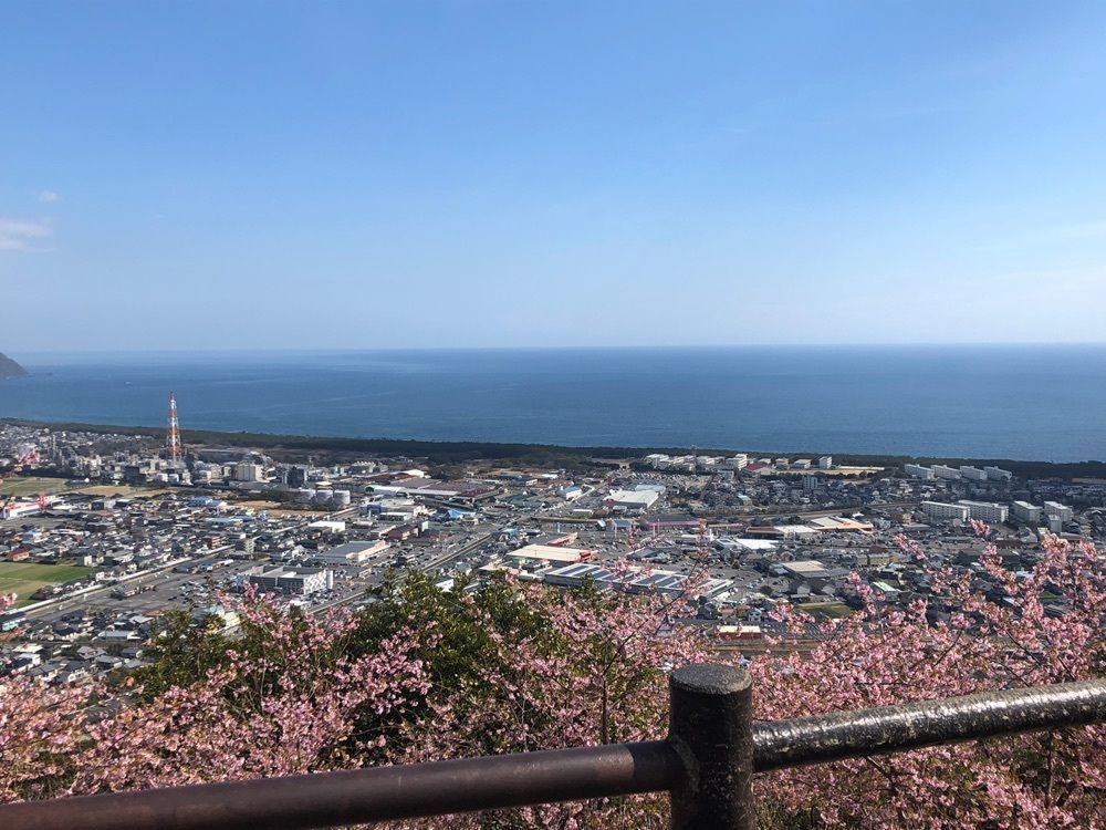 famous_marketさんが投稿した愛宕山公園（宮崎県延岡市）に関する口コミの画像