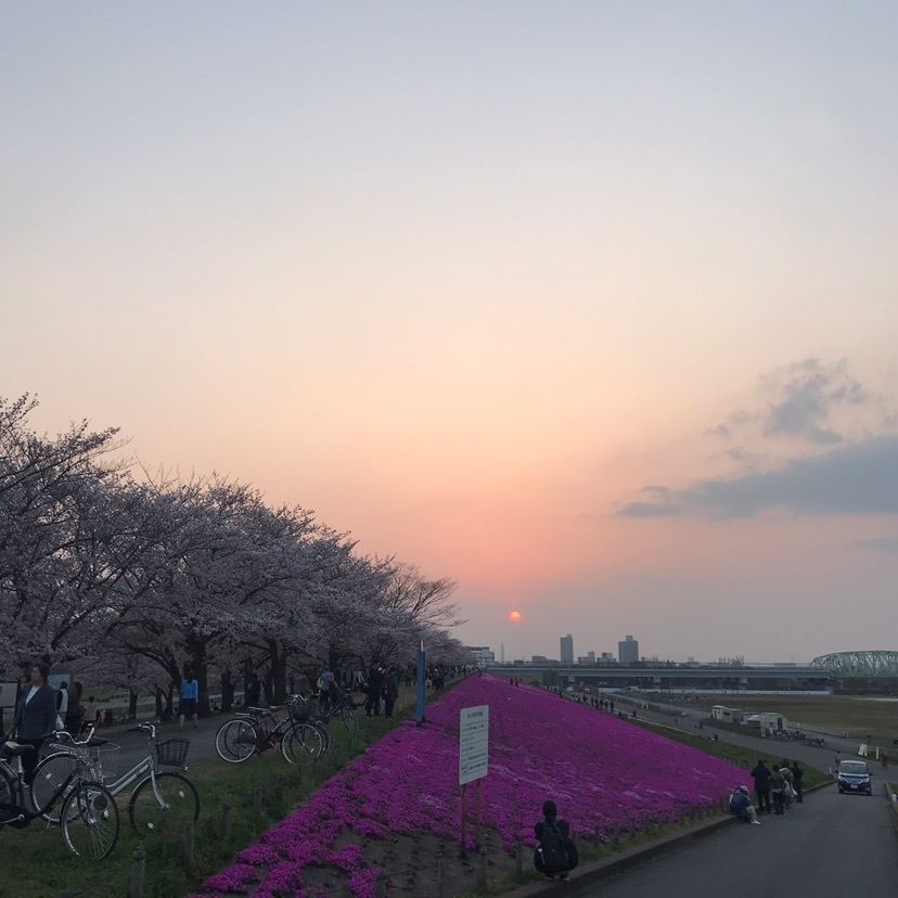 やまさんが投稿した荒川岩淵関緑地に関する口コミの画像