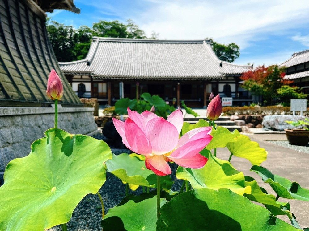 長泉寺